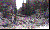 Image for The Mass Surrender of German Troops to the 347th Infantry Regiment on May 6, 1945 - Pt I