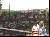 Image for The Mass Surrender of German Troops to the 347th Infantry Regiment on May 6, 1945 - Pt I
